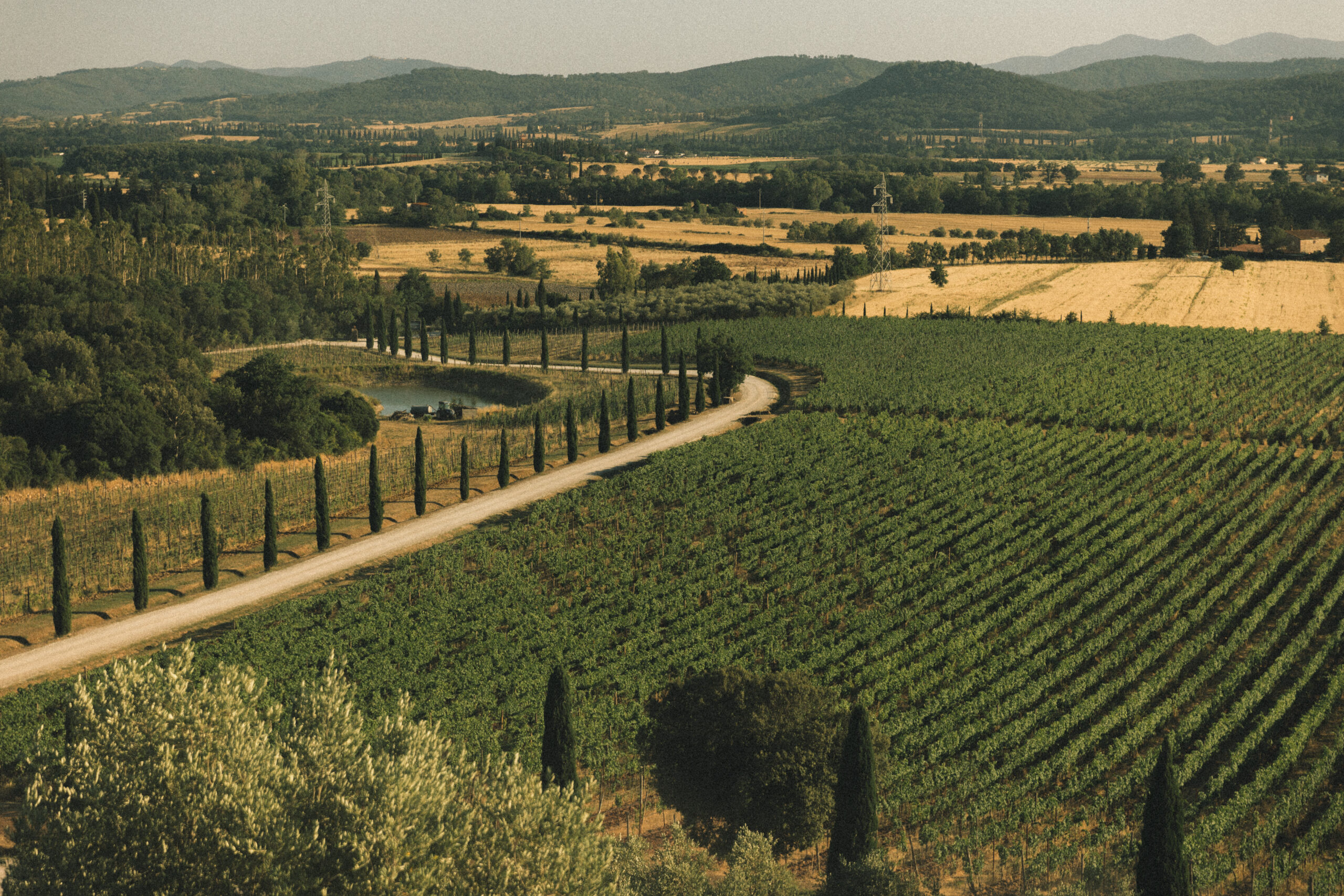 Italian vineyards in Tuscany