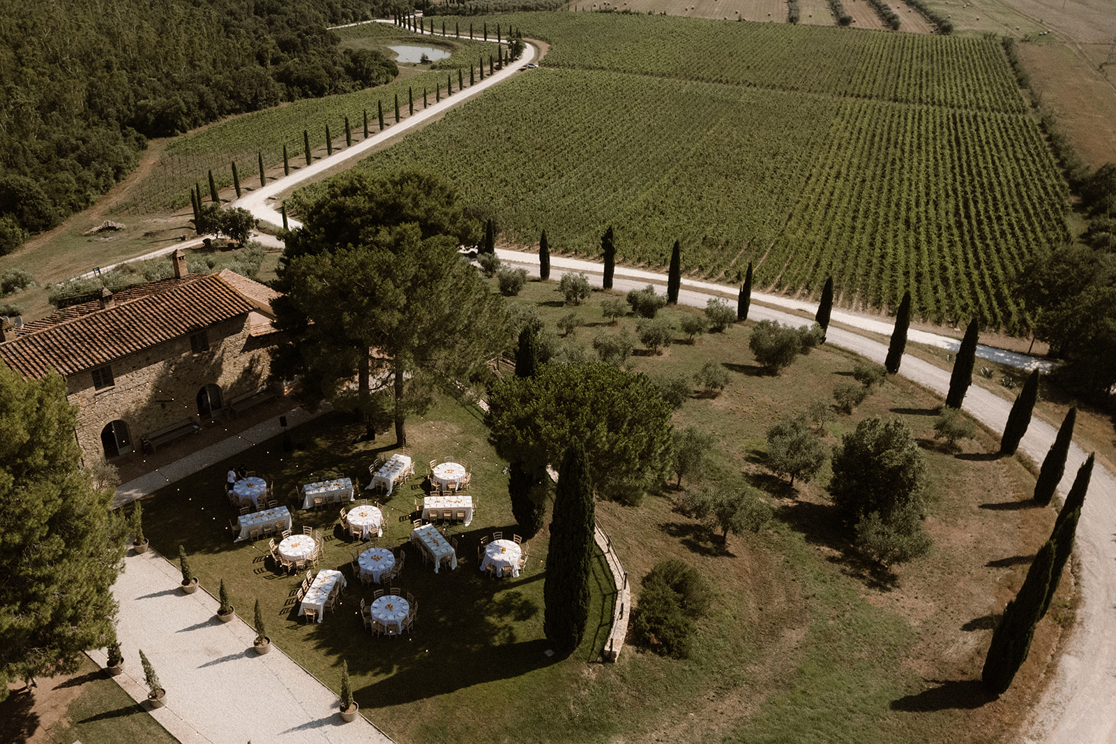 vineyard resort